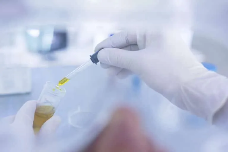 Laboratory worker taking liquid from test tube, using pipette, close-up