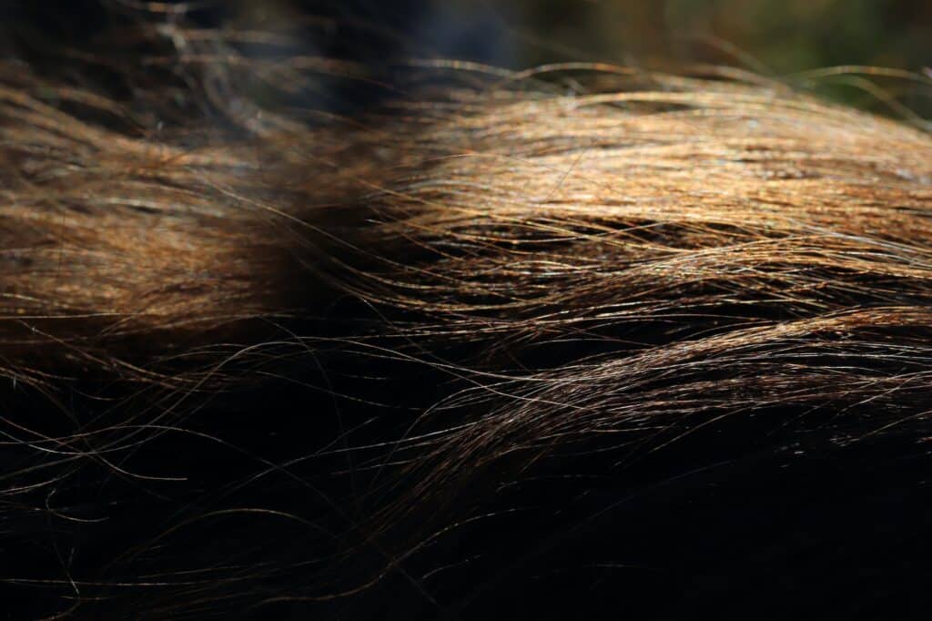 hair strands shining in the sunlight